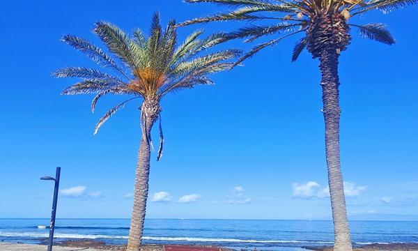 PARQUE SANTIAGO I, PLAYA DE  LAS AMÉRICAS (17)