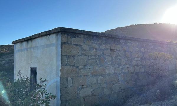 La Cisnera, Arico (1)
