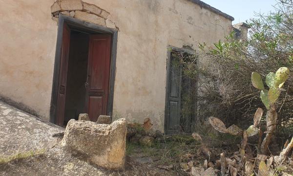 La Cisnera, Arico (3)
