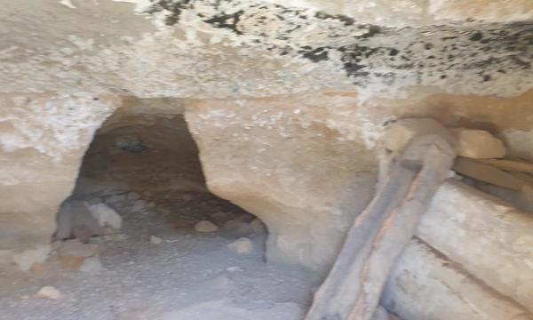 La Cisnera, Arico (7)