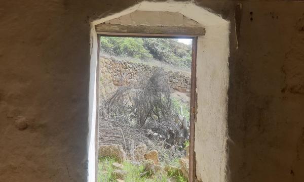 La Cisnera, Arico (4)