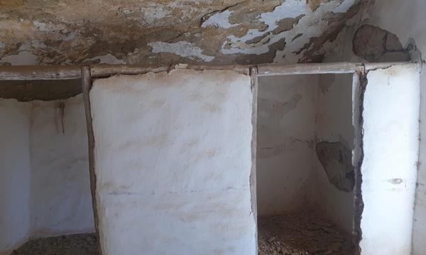 La Cisnera, Arico (11)