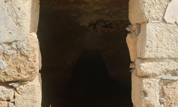 La Cisnera, Arico (12)