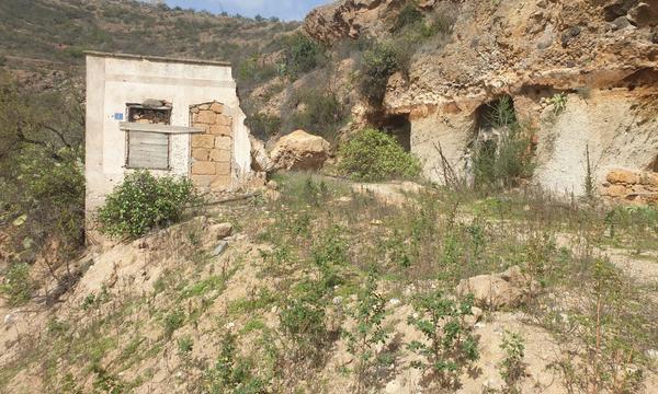 La Cisnera, Arico (5)