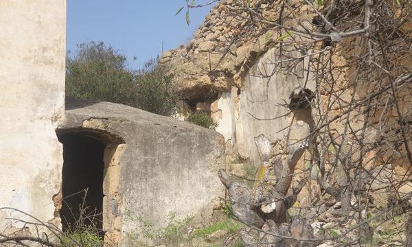 La Cisnera, Arico (14)