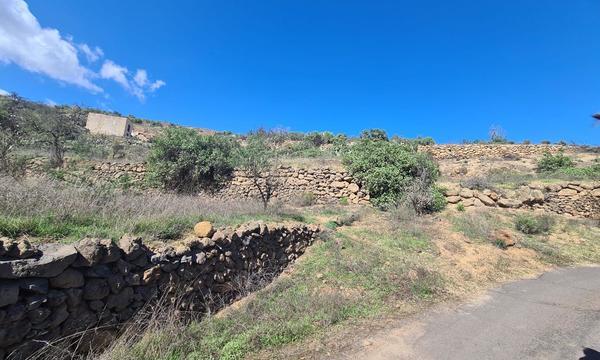 La Cisnera, Arico (9)