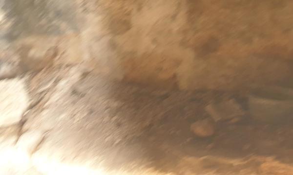 La Cisnera, Arico (15)