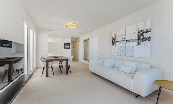 Penthouse in Roque del Conde (10)