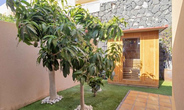 Puerto Santiago, Santiago del Teide (15)