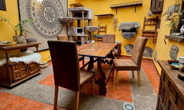 En venta finca rústica,  en La Guancha (6)