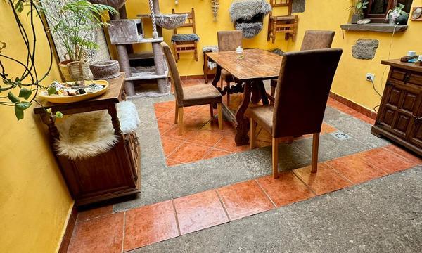 En venta finca rústica,  en La Guancha (7)
