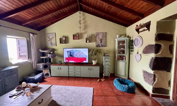 En venta finca rústica,  en La Guancha (20)