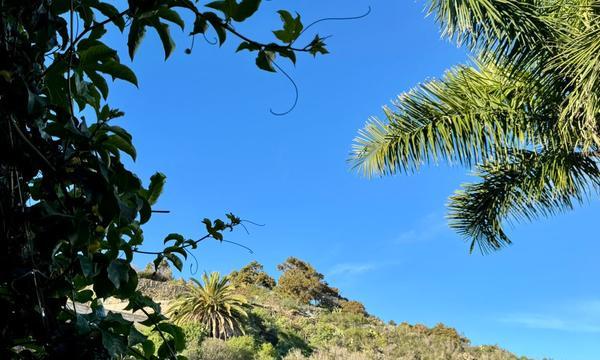 En venta finca rústica,  en La Guancha (25)