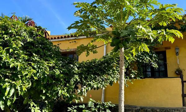 En venta finca rústica,  en La Guancha (39)