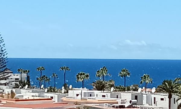 LOS AGAVES, PLAYA DE LAS AMÉRICAS (0)