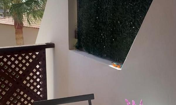 Parque Albatros, Golf del Sur. (5)