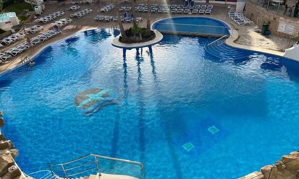 Parque Albatros, Golf del Sur. (19)