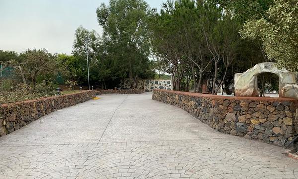 San José de los LLanos, El Tanque. Tenerife Norte (4)