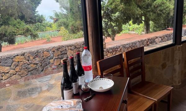 San José de los LLanos, El Tanque. Tenerife Norte (14)