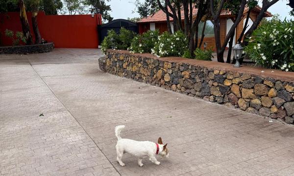 San José de los LLanos, El Tanque. Tenerife Norte (18)