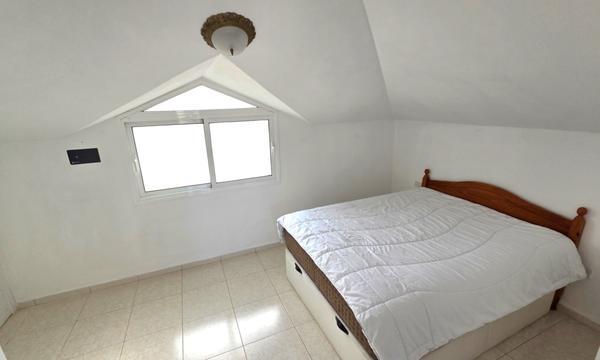 PARQUE TROPICAL. LOS CRISTIANOS (5)