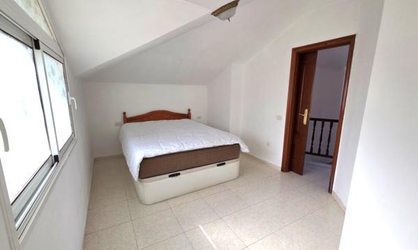 PARQUE TROPICAL. LOS CRISTIANOS (6)