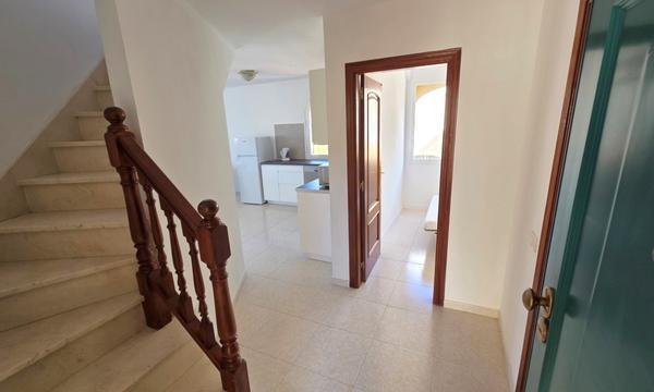 PARQUE TROPICAL. LOS CRISTIANOS (3)