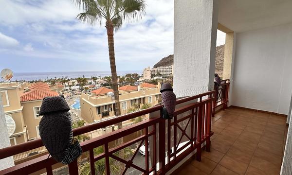 LOS BALANDROS, PALM MAR (8)