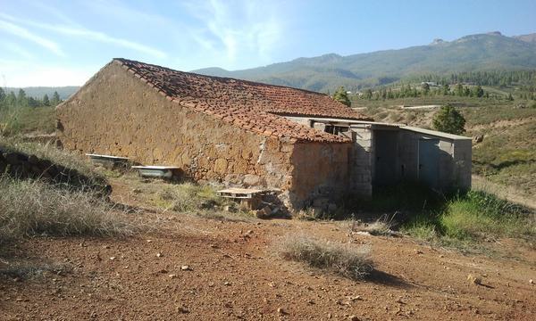 Large Finca with House Project in Vilaflor (0)