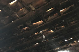 20067