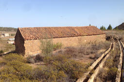 20068