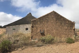 20069